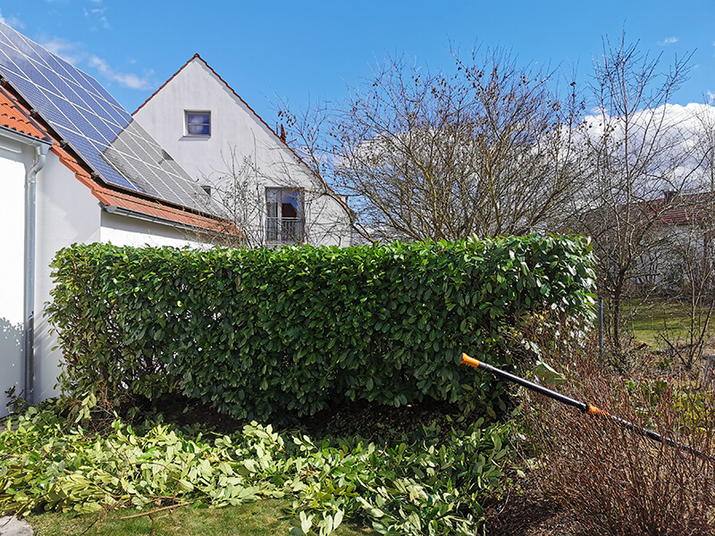 Heckenschnitt Nachher