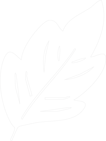 Blatt 3